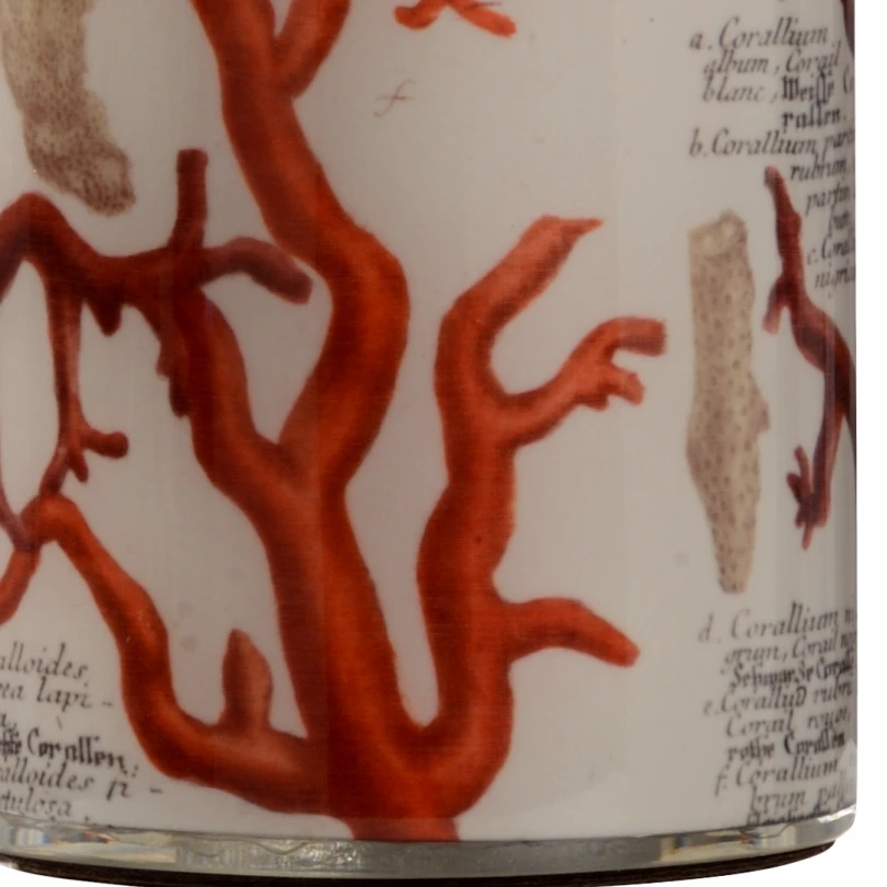 Wildwood Washington Coral Lamp Table Lamps 4 Wildwood Washington Coral Lamp Table Lamps