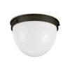 Coastal Living Bay Harbor Flush Mount (Oil Rubbed Bronze) All Lighting