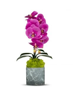 DECOR T&C Floral Company BKL Grey Marble Like Container Single FU Orchid W/Moss