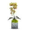 T&C Floral Company BKL Grey Marble Like Container Single GR Orchid W/Moss DECOR