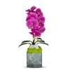 T&C Floral Company BK Grey Marble Like Container Single FU Orchid W/Quartz DECOR