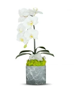 DECOR T&C Floral Company BK Grey Marble Like Container Single WH Orchid W/Quartz