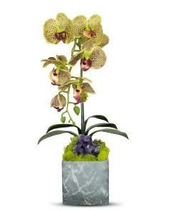 T&C Floral Company Blk Marble Like Container Single GR Orchid/Amethyst