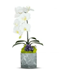 T&C Floral Company Blk Marble Like Container Single WH Orchid/Amethyst DECOR