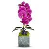 DECOR T&C Floral Company Blk Marble Like Container Single FU Orchid/Amethyst