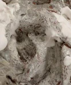 DECOR Wildwood Peony Wreath - Limestone