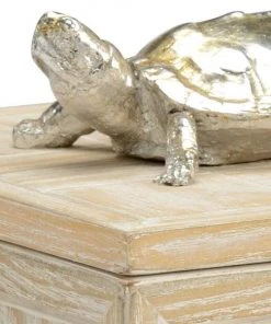 Wildwood Tortoise Box (Sm)