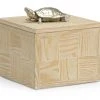 Wildwood Tortoise Box (Lg) DECOR