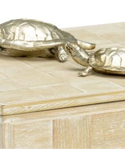 Wildwood Tortoise Family Box