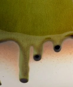 Wildwood Grunge Vase