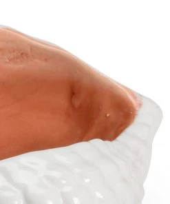 DECOR Wildwood Andros Shell Sculpture