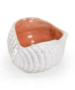 DECOR Wildwood Andros Shell Sculpture