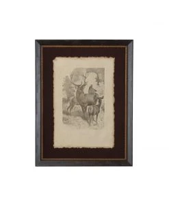 Chelsea House The Family DECOR