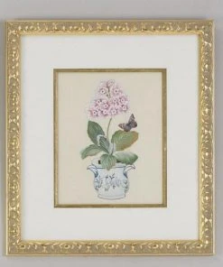 Chelsea House Pink Auricula