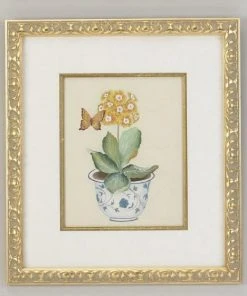 Chelsea House Yellow Auricula