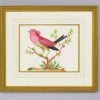 Chelsea House Pink Bird/Black Tail DECOR