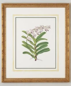 DECOR Chelsea House Aer Crispum Warner II Wall Art