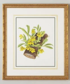 DECOR Chelsea House Promenea Citrina