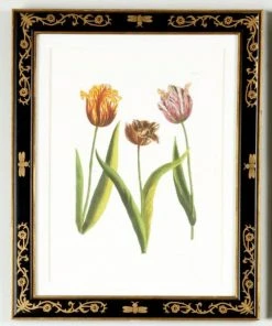 DECOR Chelsea House Tulip/Dec.frame(988)