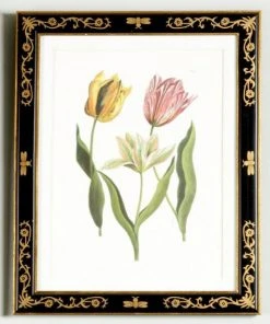 Chelsea House Tulip/Dec.frame(991)