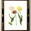 Chelsea House Tulip/Dec.frame(985) DECOR