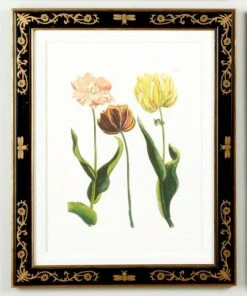 Chelsea House Tulip/Dec.frame(985) DECOR