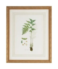 DECOR Chelsea House Curtis Ferns I Wall Art