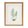 DECOR Chelsea House Curtis Ferns II Wall Art