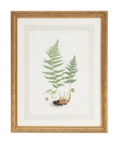 DECOR Chelsea House Curtis Ferns II Wall Art