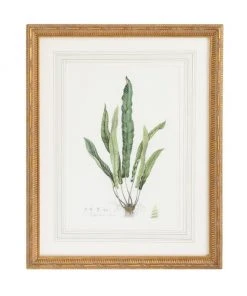 Chelsea House Curtis Ferns IV Wall Art