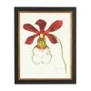Chelsea House Majestic Orchid II Wall Art