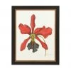 DECOR Chelsea House Majestic Orchid IV Wall Art