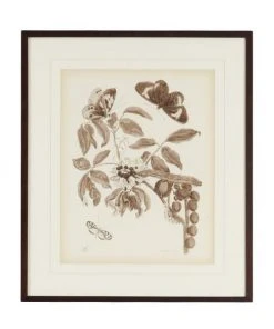 Chelsea House Nature Study/Sepia II Wall Art DECOR