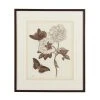 Chelsea House Nature Study/Sepia IV Wall Art DECOR
