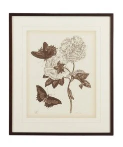 Chelsea House Nature Study/Sepia IV Wall Art DECOR