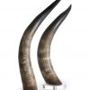 Sculptures & Objects Chelsea House Horns - Natural (S2)