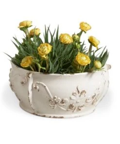 Chelsea House Monaco Ceramic Cachepot