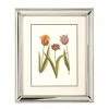 DECOR Chelsea House Tulips - A Lithograph Print