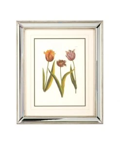 DECOR Chelsea House Tulips - A Lithograph Print