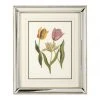 DECOR Chelsea House Tulips - B Lithograph Print