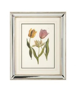 DECOR Chelsea House Tulips - B Lithograph Print