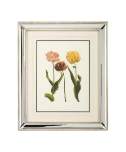 Chelsea House Tulips - C Lithograph Print DECOR