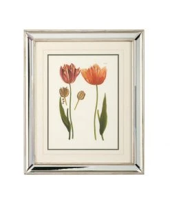Chelsea House Tulips - D Lithograph Print