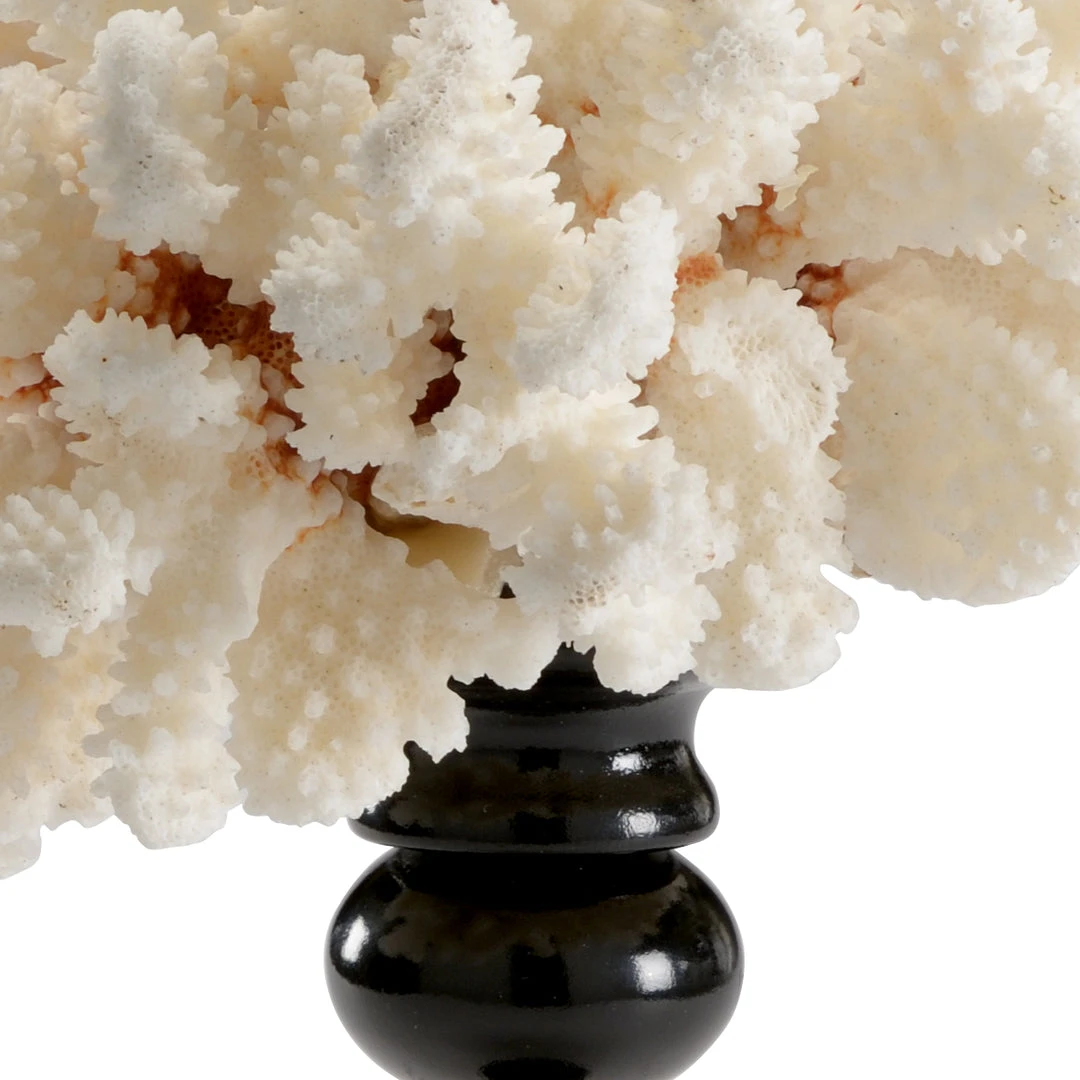 Chelsea House Coral Accent (Med) Sculptures & Objects 4 Chelsea House Coral Accent (Med) Sculptures & Objects