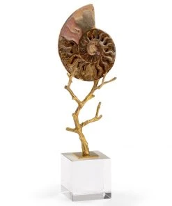 Sculptures & Objects Chelsea House Small Ammonoidea