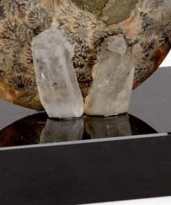 Chelsea House Fossil Bookends (Pr)