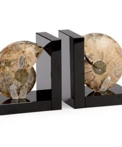 Chelsea House Fossil Bookends (Pr)
