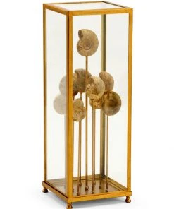 Sculptures & Objects Chelsea House Ammonoidea Collection