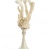 Chelsea House Large Coral - White Sculptures & Objects