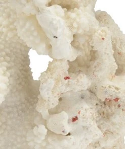 Chelsea House Coral Mount (Med)